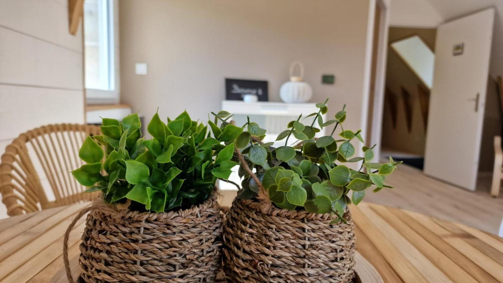 La Puy Mary Bed & Breakfast Le Falgoux Dış mekan fotoğraf